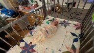 A NICU is testing a tactile mattress to help preemies restart breathing