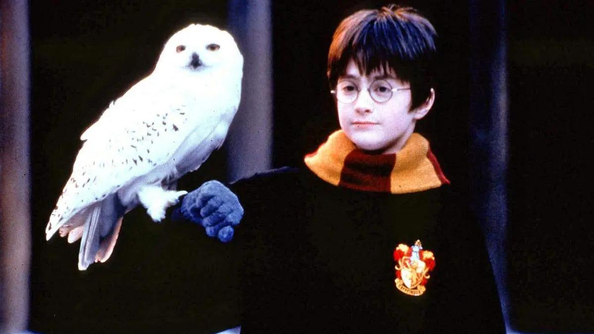 A 24 años del estreno de Harry Potter: la magia que transformó el cine y conquistó al mundo