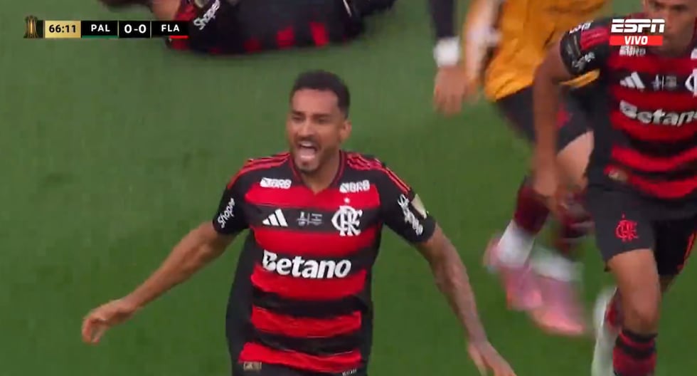 Gol de Danilo hoy con Flamengo vs Palmeiras en partido final de Copa Libertadores 
