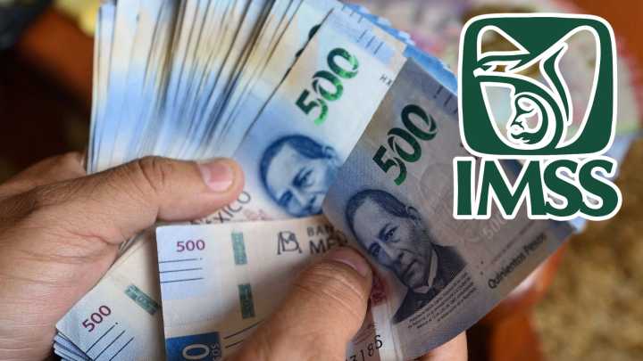 Pensión IMSS Ley 73: ¿Cuál es el Monto Exacto Garantizado en Dicembre 2025 y Quiénes lo Cobran?
