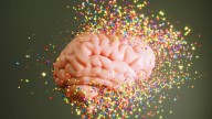 ¿Hasta los 32 años con cerebro de adolescente? Un nuevo estudio indica que la materia blanca continúa su desarrollo en esta etapa.