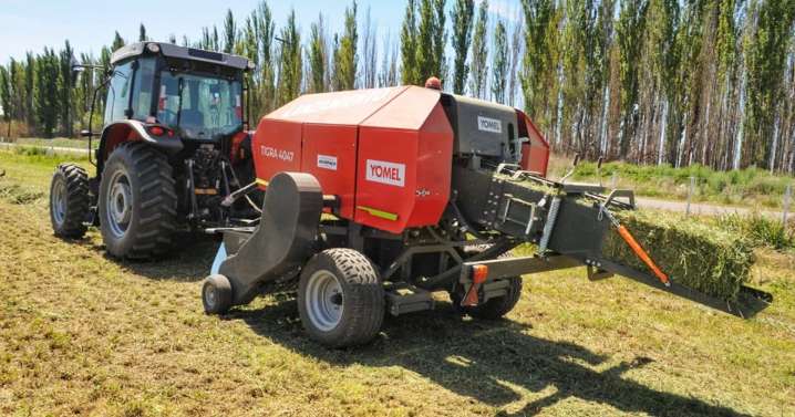 Exitosas jornadas forrajeras se realizaron esta semana en Valle Medio