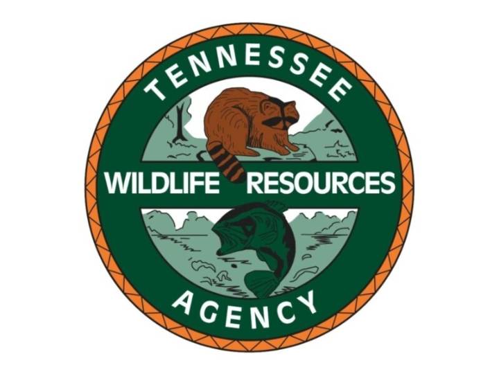 TWRA to Conduct CWD Sampling in White-Tailed Deer Across State