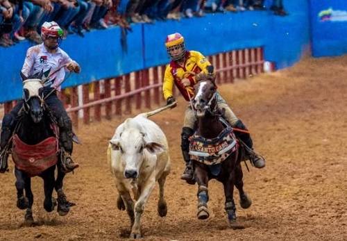 Mario Sánchez Pinto: De manga en manga