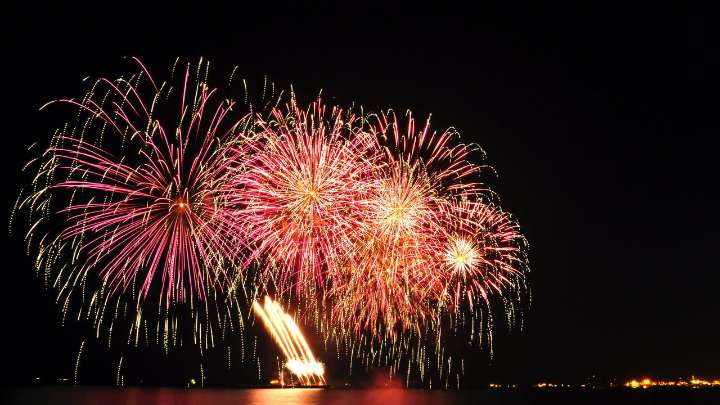 Un perro alterado por unos fuegos artificiales mata a un bebé de nueve meses