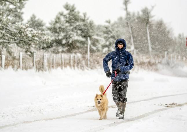UK to brave coldest night of the year after thundersnow and