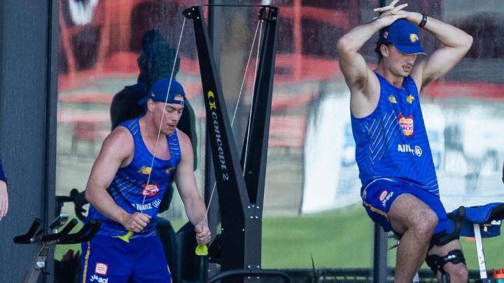 AFL 
                                                Comments
                                              
                                                Premium
                               