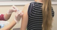 North Texas pediatricians urge parents to update children's vaccinations before holiday gatherings