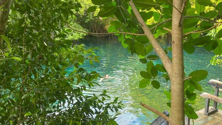 Ojos Indígenas, el lado verde de República Dominicana