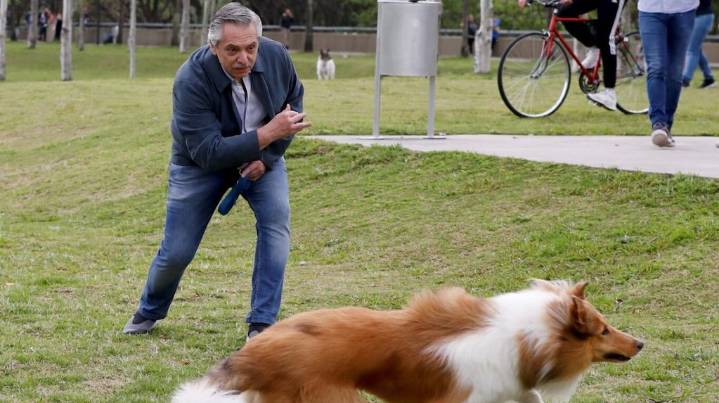Murió Dylan, el perro de Alberto Fernández: “Ahora correrás en algún paraíso”