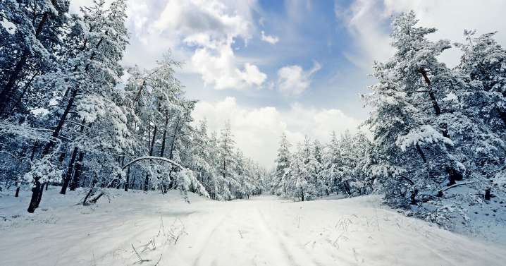 First cold death reported in Maryland tips to stay warm this winter season