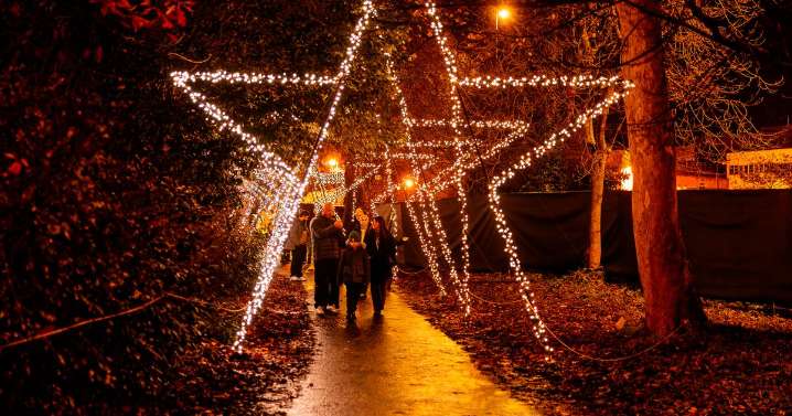 42 spectacular photos as Northern Lights trail launches in Newcastle park