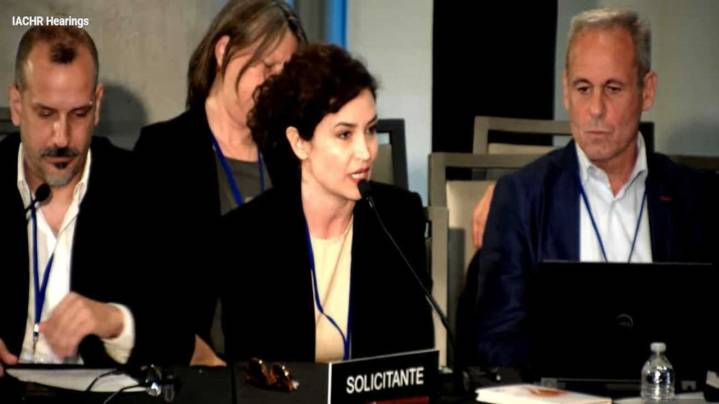 Periodistas denunciaron ante la CIDH los ataques del Gobierno contra la prensa y la libertad de expresión