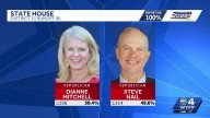 Dianne Mitchell leads SC House District 21 runoff, recount likely
