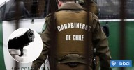 Carabinero disparó a hombre que lo atacó con cuchillos en Coronel: sujeto está en riesgo vital