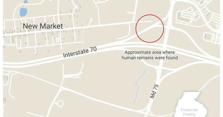 State Police investigate human remains found near New Market