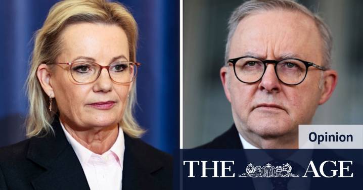 Albanese government struggling to find second-term footing as public debate gathers fogginess