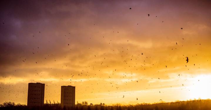 Glasgow groups could get council funding to keep parks safe with more lighting