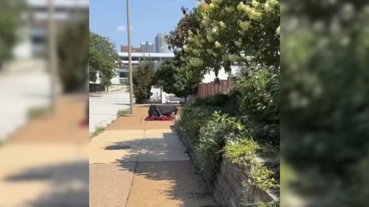 Missouri Rescuers Shocked By What They Found In An Abandoned Crate Covered With A Black Tarp