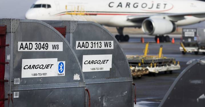 Trade war: Cargojet feels pain as profits plunge