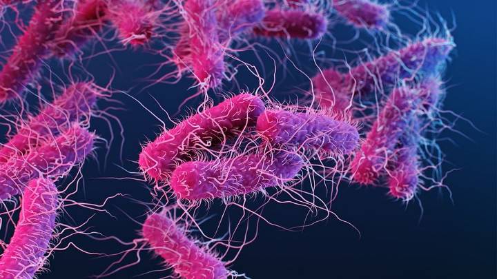 Scientists find E. Coli spreads as fast as swine flu: Study