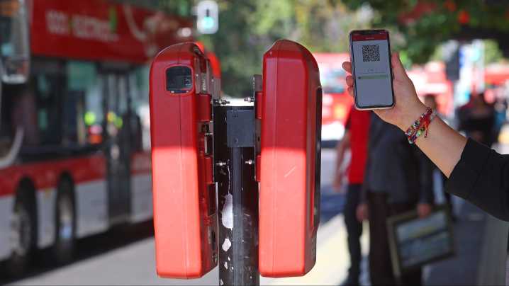 DaleQR supera nuevo récord: Casi 42 mil personas accedieron a viajes liberados en octubre