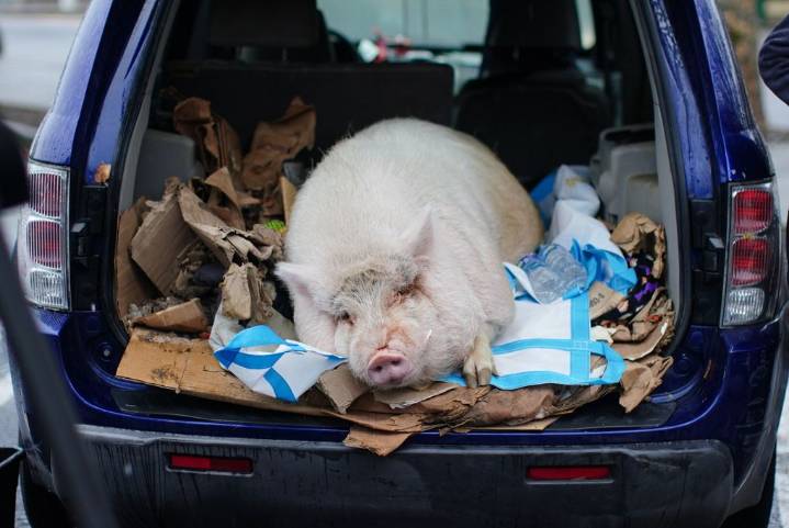 Portland responders find home for homeless veteran’s 250