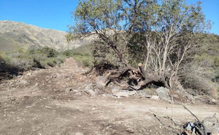 Abrieron una calle en Calaguala y alertan por daños al monte nativo