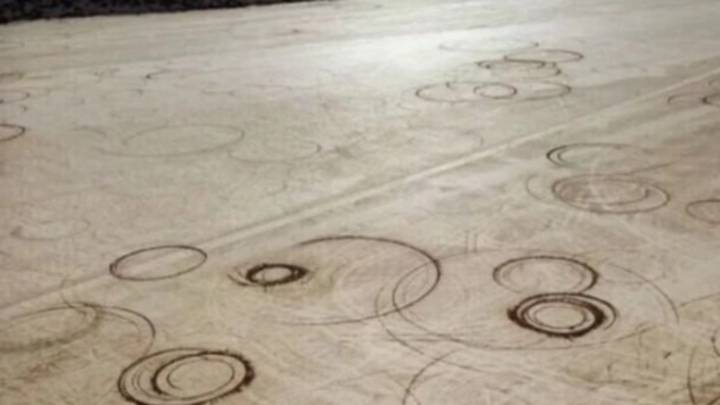 El daño ambiental en la Pampa del Leoncito podría tardar décadas en repararse