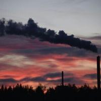 World's fossil fuel emissions to hit new record in 2025: study