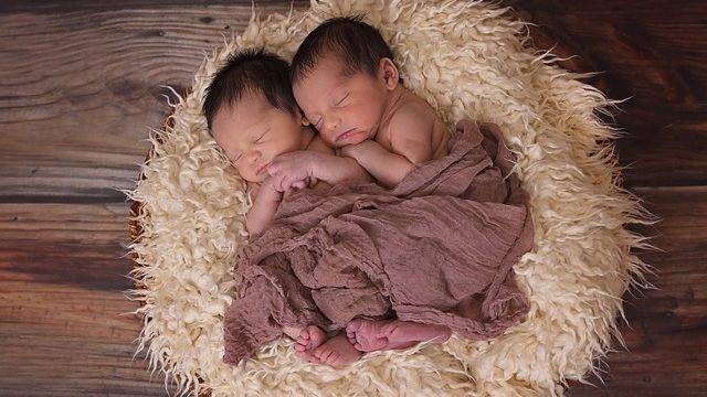 Penner and Penner to Breed Purebred Penner Children