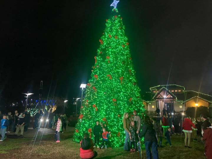 Owensboro Christmas tree lights up to begin the holiday season