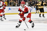 Hurricanes Recall Domenick Fensore