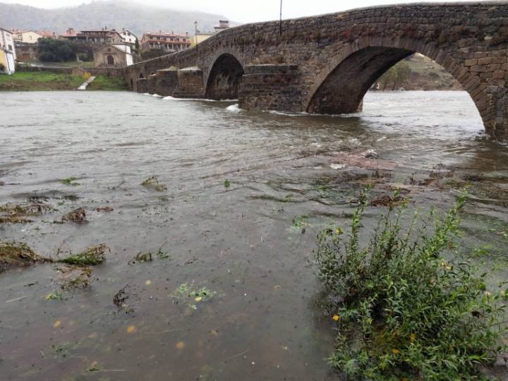 Fotonoticia. El Tormes mesura su fuerza en Barco de Ávila