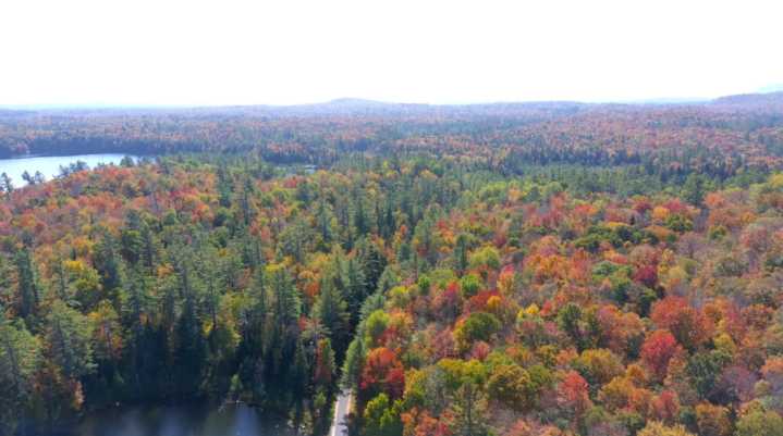 Next steps after Adirondack Proposition One was approved by NY voters