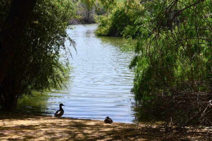 Water Infrastructure Finance Authority to consider five proposals to shore up Arizona’s water supply