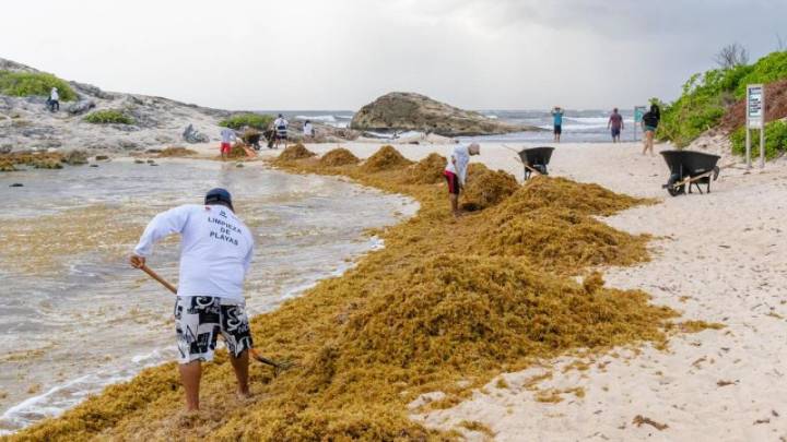 De la incertudimbre económica en EE.UU. a la inseguridad y el sargazo, Tulum encara desafíos a su atractivo turístico