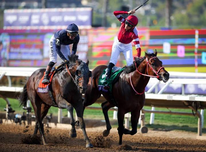 Breeders’ Cup: Japan’s Forever Young beats his rivals in the Classic