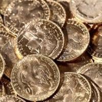 Frenchman discovers gold buried in garden