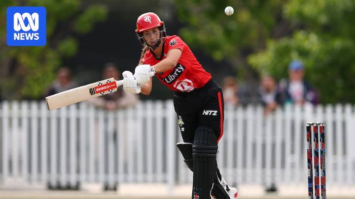 Renegades down Stars by four wickets as Devine sends down stunner in Scorchers win