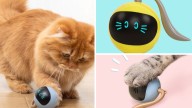 Interactive cat toy deal, on sale for under $20 for Black Friday