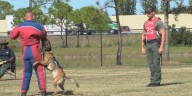 Over 70 Police K-9 Gather in Manatee Co. for National Competition