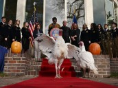 Put political pique aside by considering Thanksgiving's origins (Opinion)