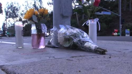 Luis Morales-Pacheco, 13, killed in Dana Point crash, hit-and-run driver Bradley Funk in custody for DUI, murder