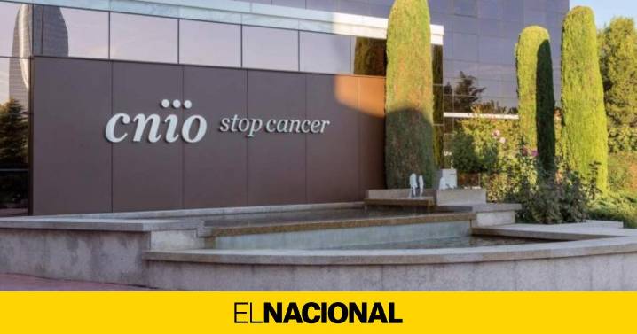 Escándalo en el principal centro español de investigación del cáncer: robo de 25 millones en 18 años