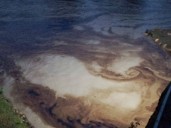 Derrame en el río Cazones deja sin agua a Poza Rica y Coatzintla, Veracruz