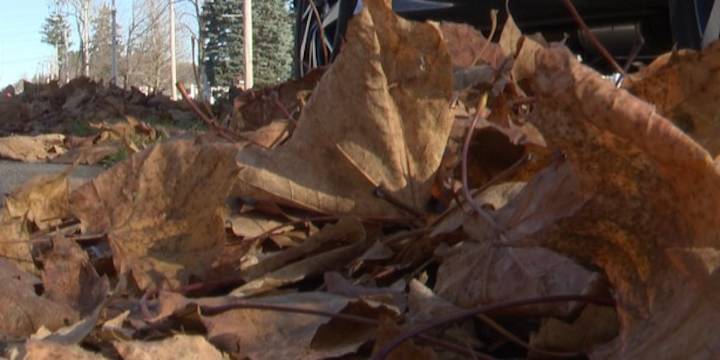 Communities extend pickup time for autumn leaves