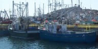 Marine Institute Conducting Study on Ways to Make Fishing Industry Safer