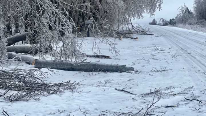 DNR makes progress in months-long ice storm cleanup
