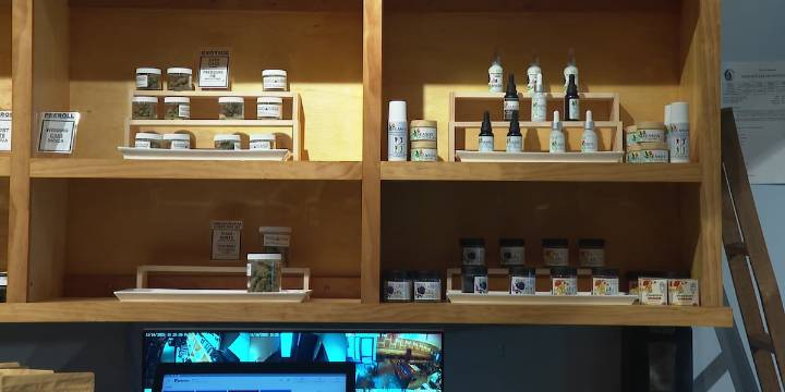 Shutdown legislation threatens Virginia hemp industry